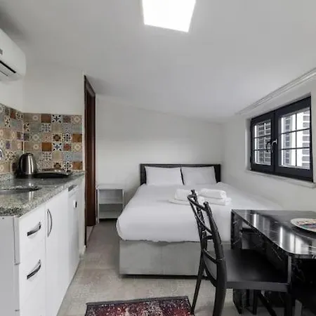 Cozy & Comfy Studio At Beyoglu - 11