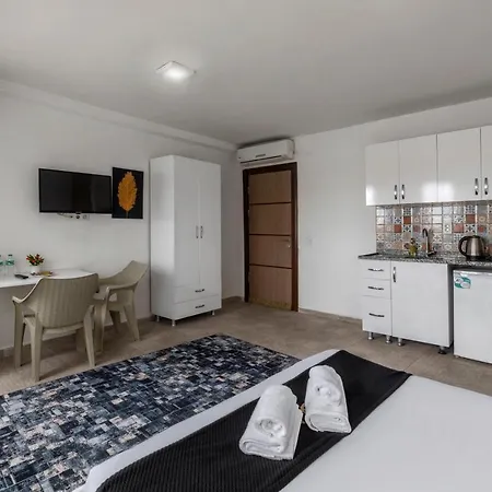 Cozy & Comfy Studio At Beyoglu - 11 Διαμέρισμα Κωνσταντινούπολη